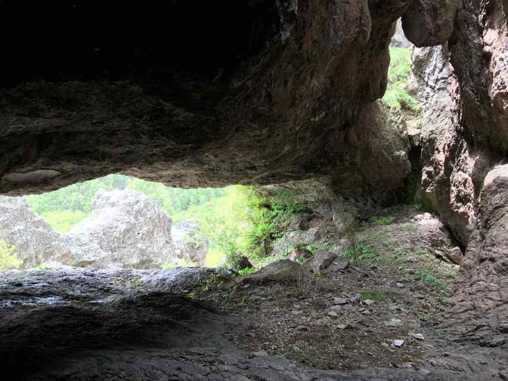 „Plato, Let Me Back into the Cave“ or Why Most People Prefer the Comfort&nbsp;Zone