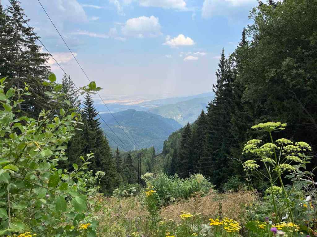 What I’ve Learned from the&nbsp;Stoics